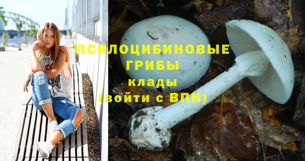 спайс Магас