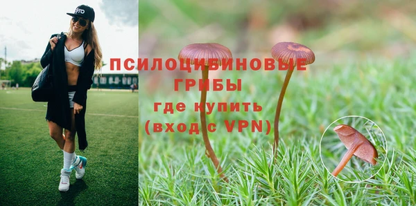 прущие крисы Алексеевка
