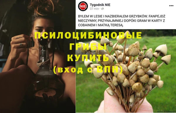 каннабис Алексин