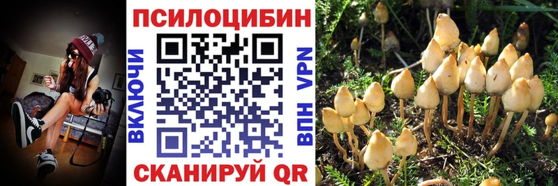 Псилоцибиновые грибы мухоморы  дарнет шоп  Томск 