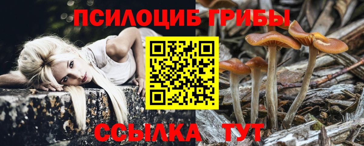 Галлюциногенные грибы Psilocybine cubensis  Вход с VPN  Томск  Галлюциногенные грибы мухоморы 