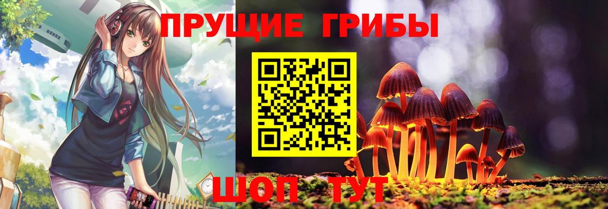 Томск  Галлюциногенные грибы GOLDEN TEACHER  Вход с VPN  Псилоцибиновые грибы MAGIC MUSHROOMS 